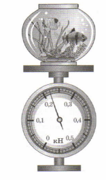 Задание рисунок 1