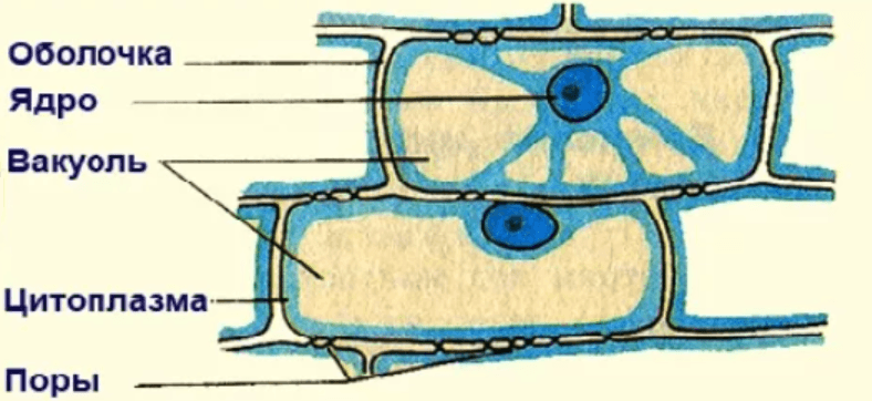 Решение рисунок 2