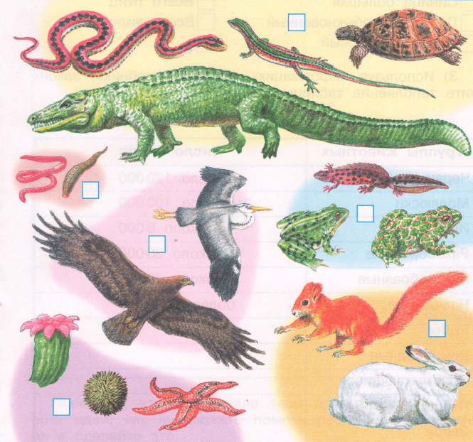 Задание рисунок 2