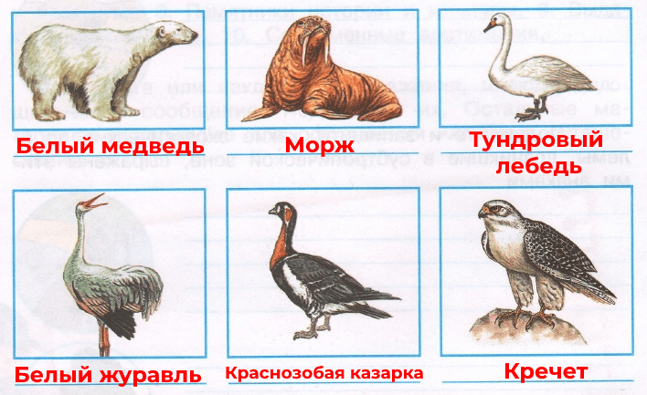 Решение рисунок 1