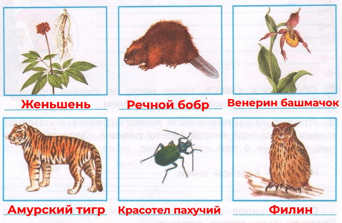 Решение рисунок 2