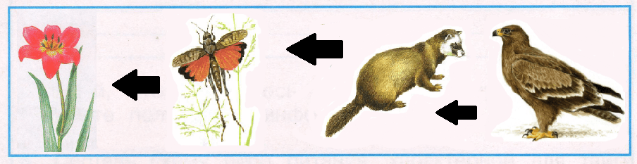 Решение рисунок 1