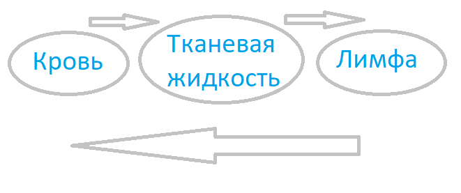 Решение рисунок 2
