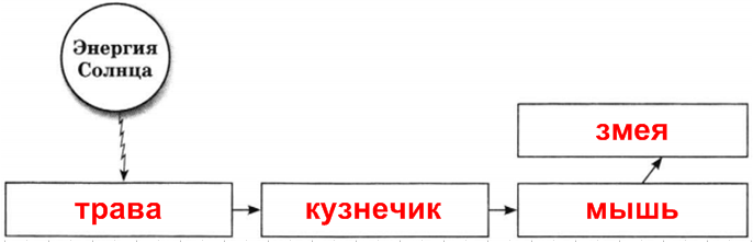 Решение рисунок 1